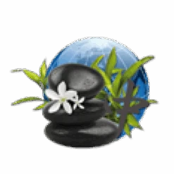 Parfum De Spa à Base D'huiles Essentielles Orient 250 Ml 8 Parfum De Spa à Base D'huiles Essentielles Orient 250 Ml -Raviday Piscine parfum spa huiles essentielles orient camylle 250 ml 2